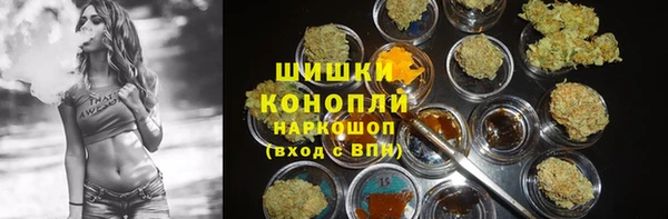 эйфоретик Аркадак