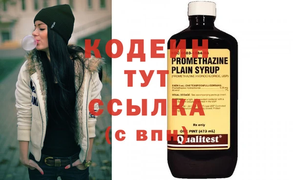 эйфоретик Аркадак