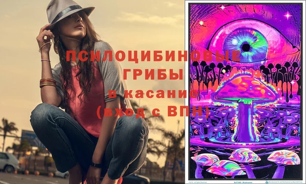 эйфоретик Аркадак