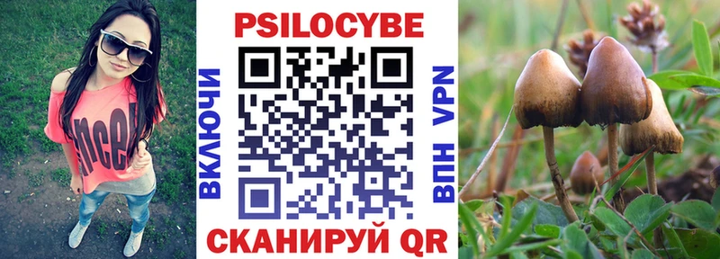 Галлюциногенные грибы Psilocybine cubensis  даркнет сайт  Протвино 